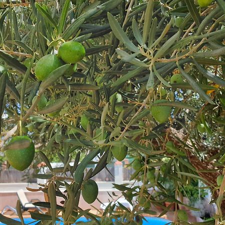 Alojamiento El Olivo Ronda Rum bild