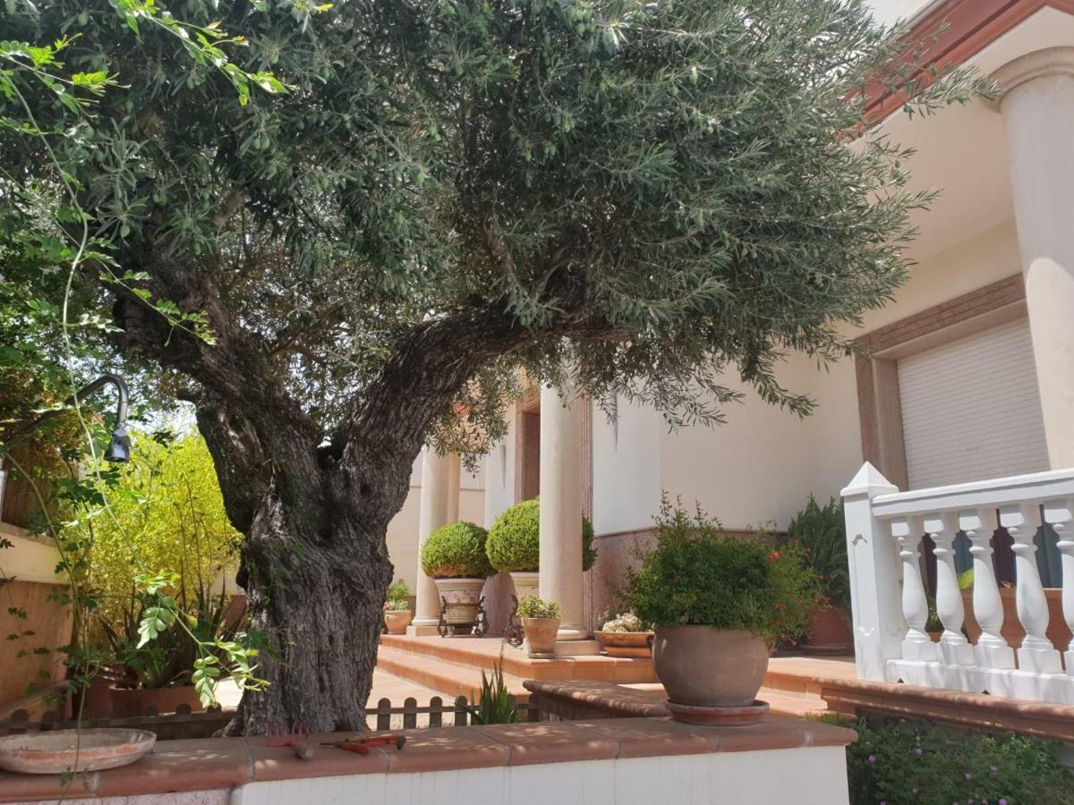 Alojamiento El Olivo Ronda Exteriör bild
